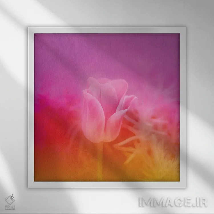تابلو لالهٔ صورتی اثر بلی - نمای قابدار سفید