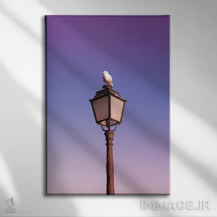 تابلو مرغ دریایی اثر بلی - نمای روبهرو روی دیوار