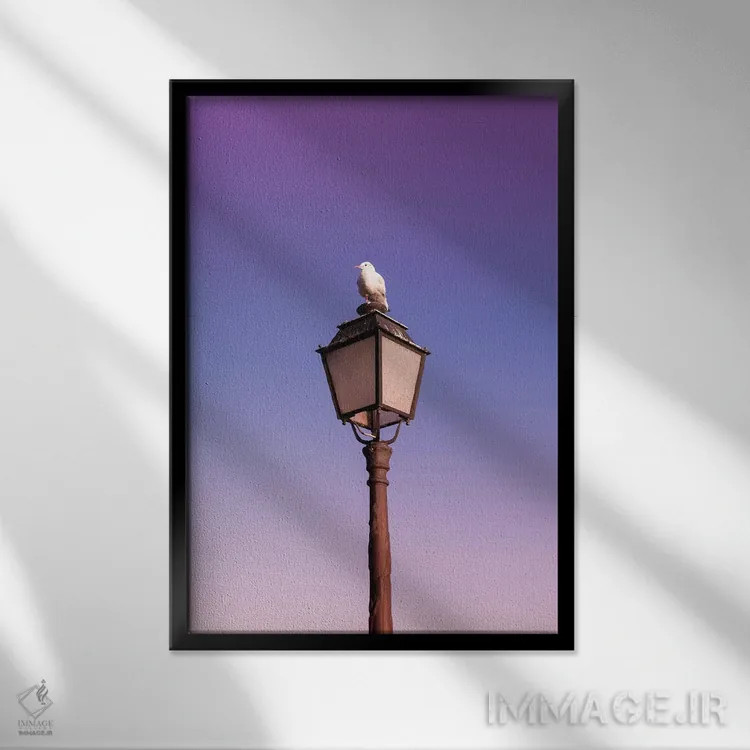 تابلو مرغ دریایی اثر بلی - نمای قابدار مشکی