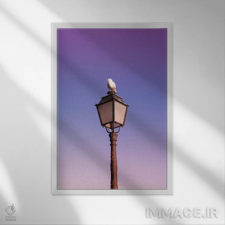 تابلو مرغ دریایی اثر بلی - نمای قابدار سفید