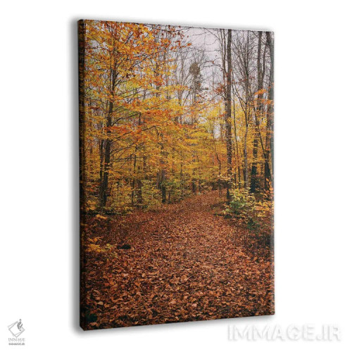 تابلو مسیر آبشار موکسی اثر جان بیلوس - نمای پرسپکتیو محصول