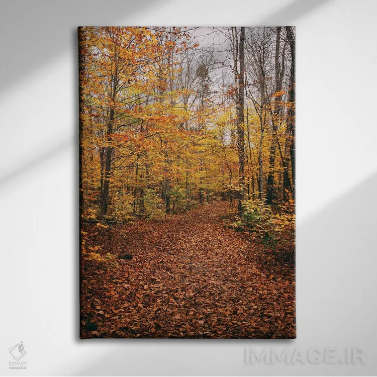 تابلو مسیر آبشار موکسی اثر جان بیلوس - نمای روبهرو روی دیوار