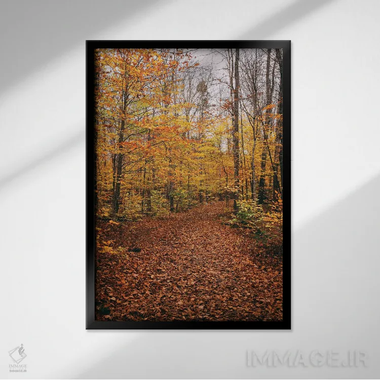 تابلو مسیر آبشار موکسی اثر جان بیلوس - نمای قابدار مشکی