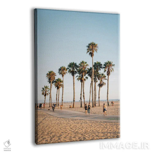 تابلو Santa Monica II,نخلها، سانتا مونیکا II اثر جان بیلوس - نمای پرسپکتیو محصول