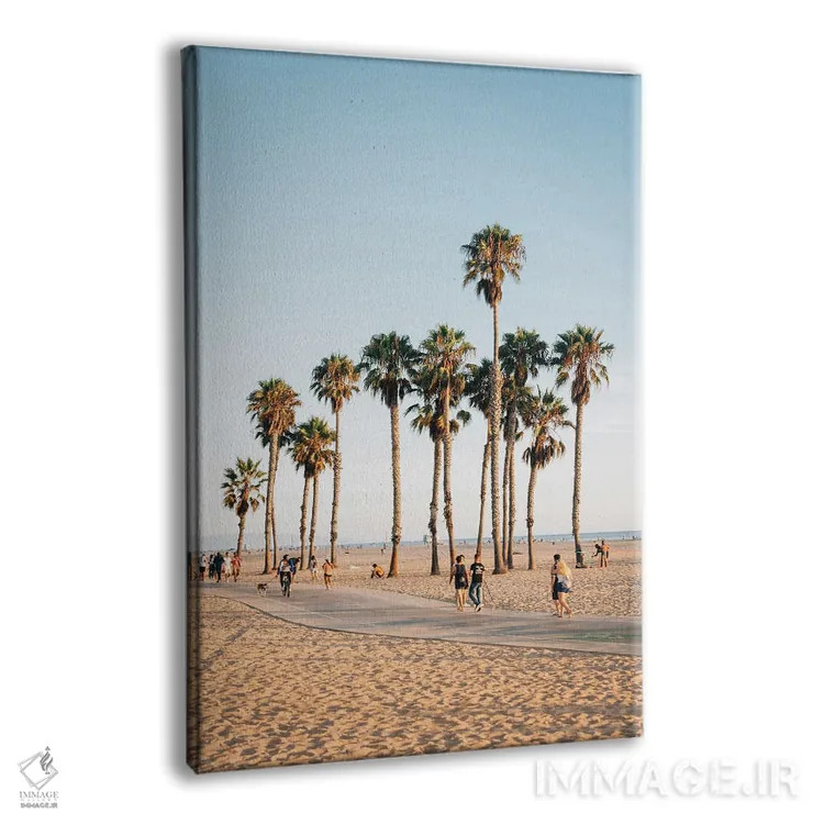 تابلو Santa Monica II,نخلها، سانتا مونیکا II اثر جان بیلوس - نمای پرسپکتیو محصول