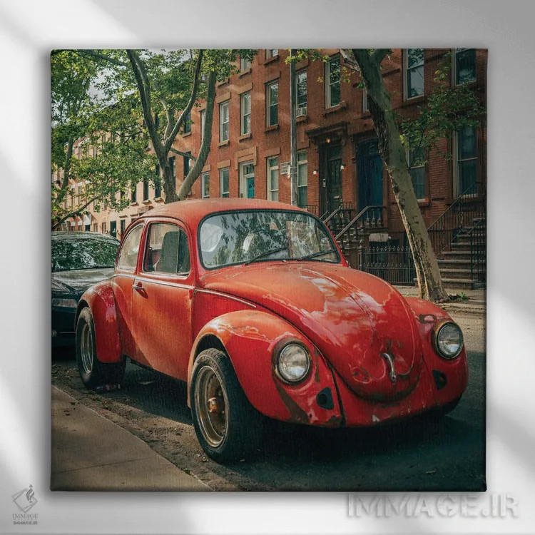 تابلو Carroll Gardens,سوسک قرمز، کارول گاردنز اثر جان بیلوس - نمای روبهرو روی دیوار