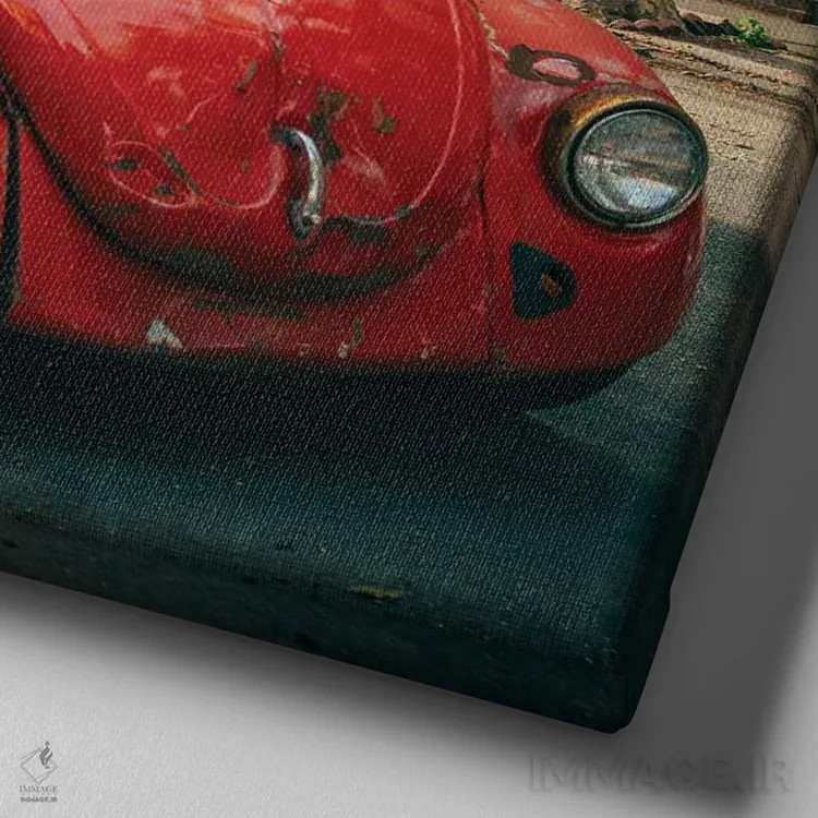 تابلو Carroll Gardens,سوسک قرمز، کارول گاردنز اثر جان بیلوس - نمای نزدیک بافت بوم