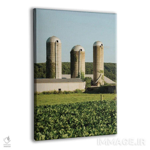 تابلو Perry County I,سیلوها، شهرستان پری I اثر جان بیلوس - نمای پرسپکتیو محصول
