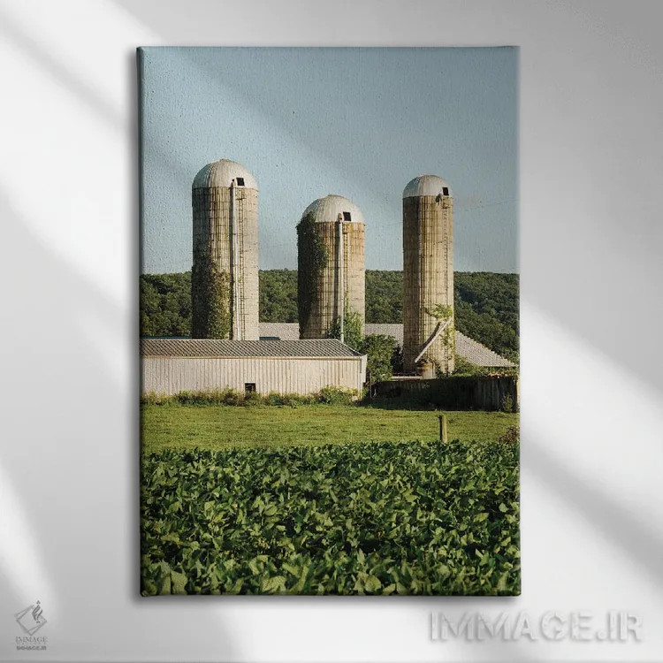 تابلو Perry County I,سیلوها، شهرستان پری I اثر جان بیلوس - نمای روبهرو روی دیوار