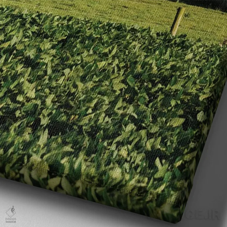 تابلو Perry County I,سیلوها، شهرستان پری I اثر جان بیلوس - نمای نزدیک بافت بوم