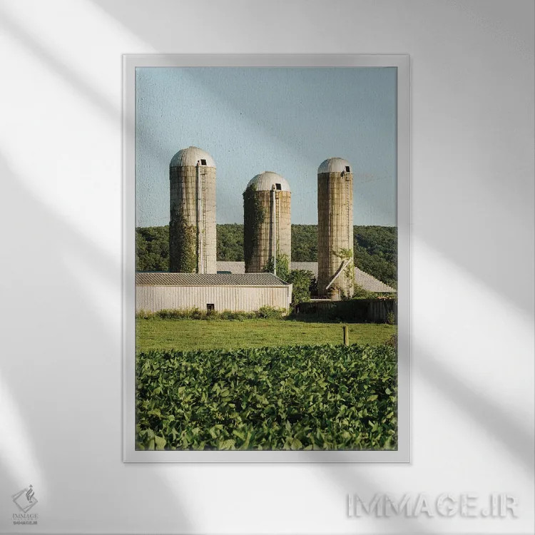 تابلو Perry County I,سیلوها، شهرستان پری I اثر جان بیلوس - نمای قابدار سفید