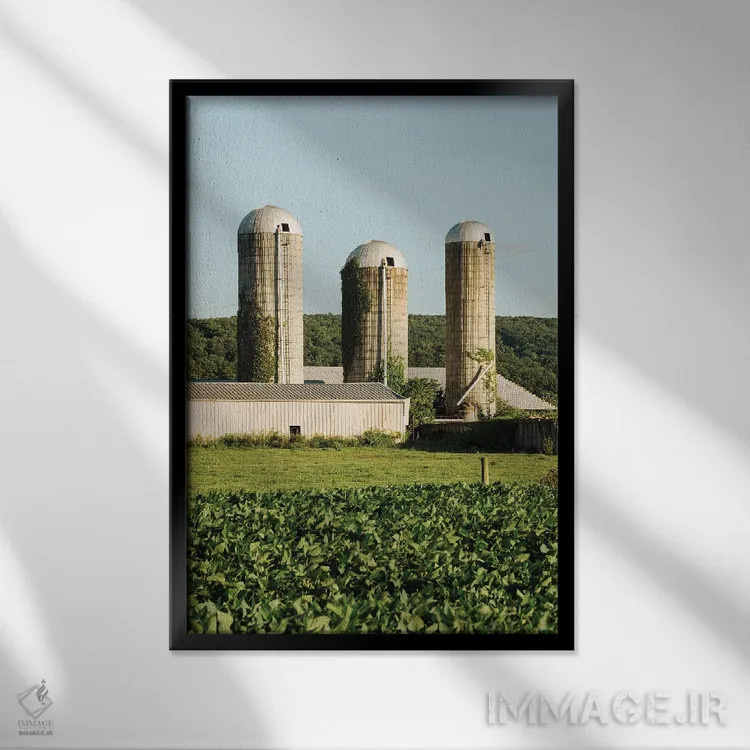 تابلو Perry County I,سیلوها، شهرستان پری I اثر جان بیلوس - نمای قابدار مشکی