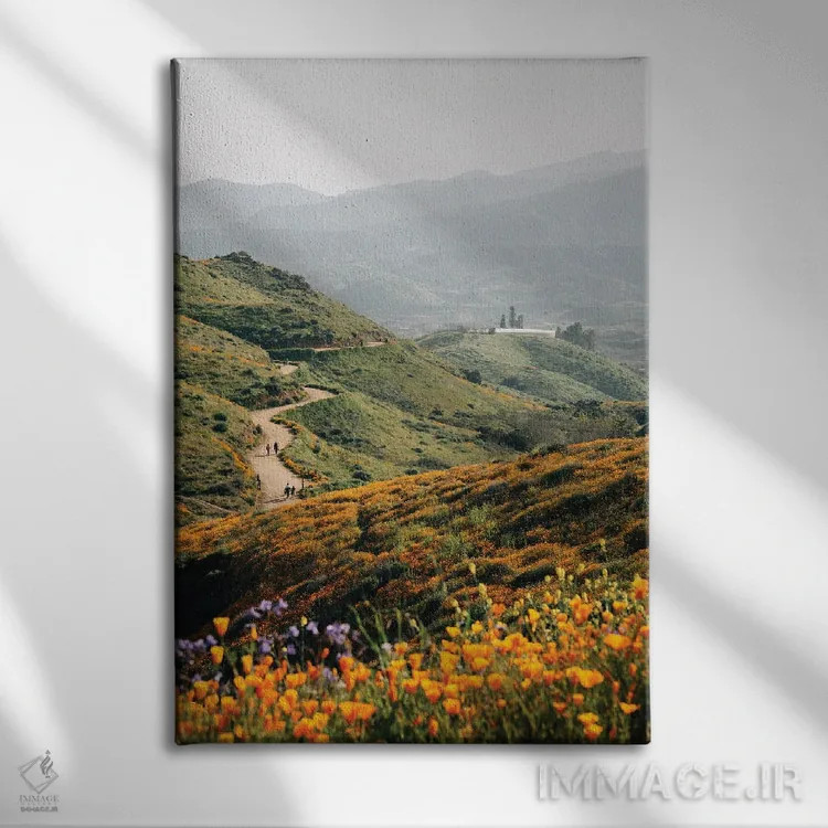 تابلو مسیر واکر کنیون I اثر جان بیلوس - نمای روبهرو روی دیوار