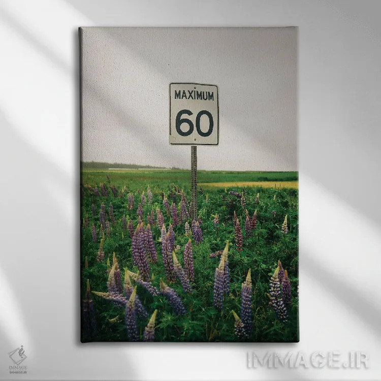 تابلو حداکثر ۶۰ اثر جان بیلوس - نمای روبهرو روی دیوار