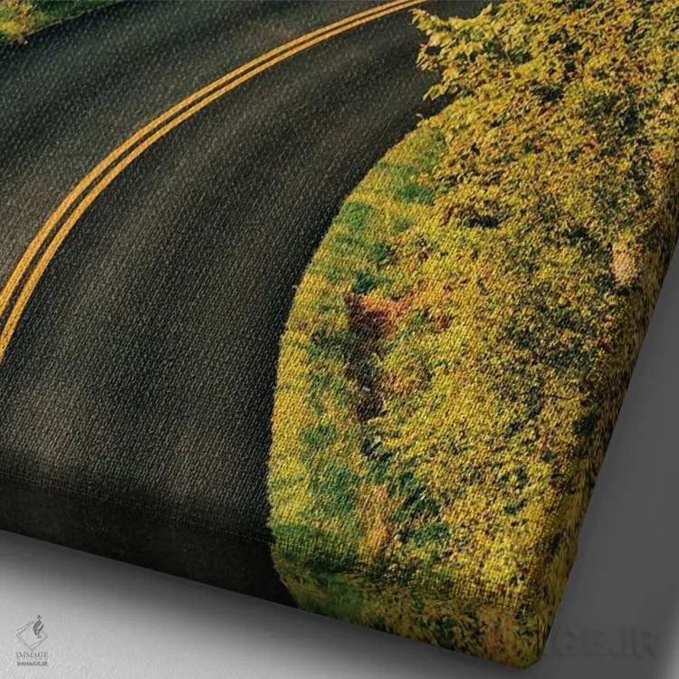 تابلو جاده بلو ریج نزدیک افتون III اثر جان بیلوس - نمای نزدیک بافت بوم