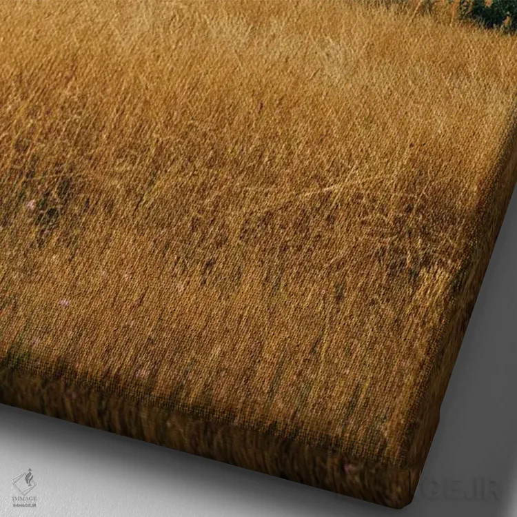 تابلو مناطق روستایی بلو ریج اثر جان بیلوس - نمای نزدیک بافت بوم