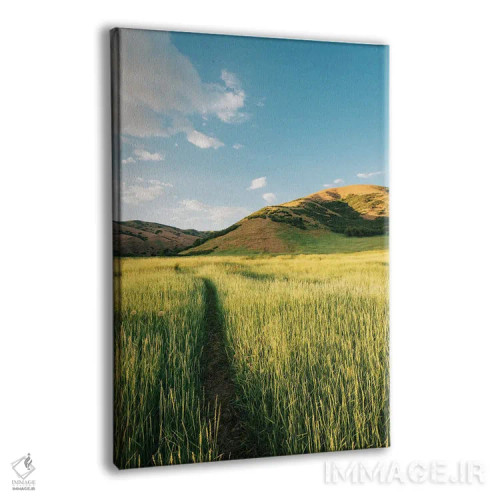 تابلو مسیر ساحلی بانوویل I اثر جان بیلوس - نمای پرسپکتیو محصول