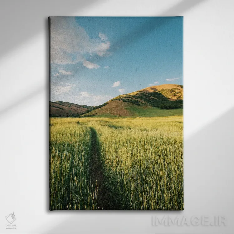 تابلو مسیر ساحلی بانوویل I اثر جان بیلوس - نمای روبهرو روی دیوار