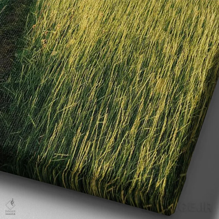 تابلو مسیر ساحلی بانوویل I اثر جان بیلوس - نمای نزدیک بافت بوم