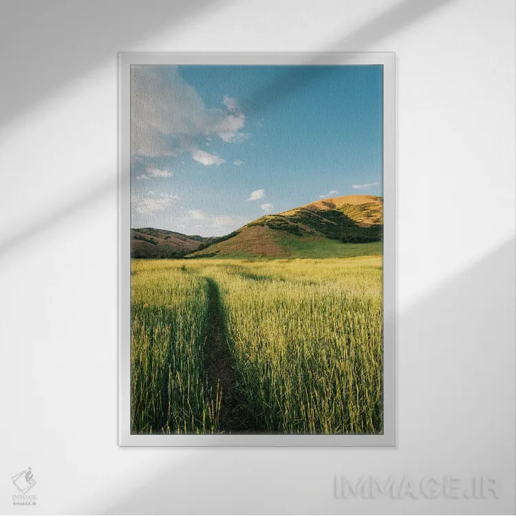 تابلو مسیر ساحلی بانوویل I اثر جان بیلوس - نمای قابدار سفید