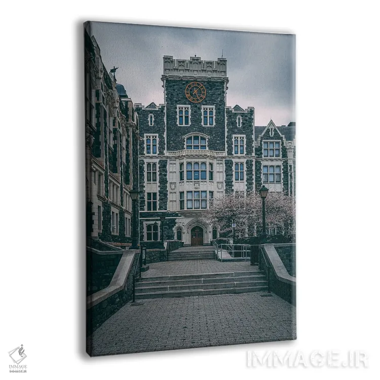 تابلو معماری دانشگاه سیسیانوای (شهر نیویورک) اثر جان بیلوس - نمای پرسپکتیو محصول