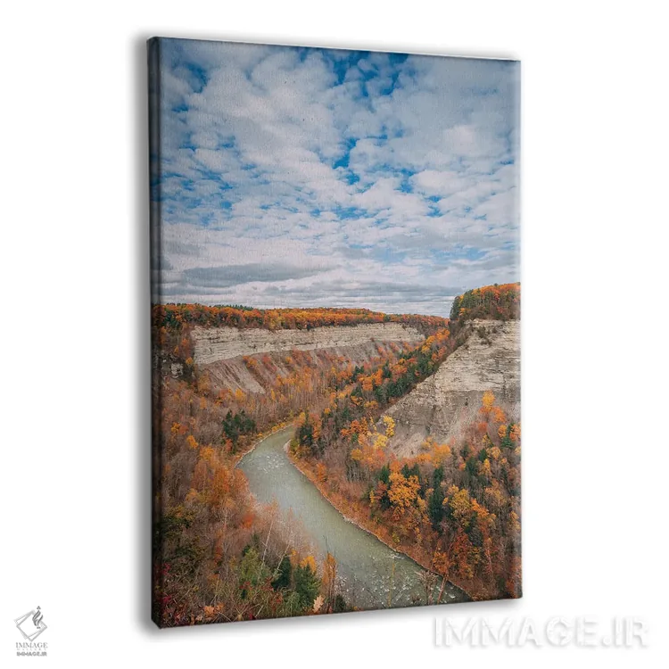 تابلو Letchworth,منظره دره، لتچورث اثر جان بیلوس - نمای پرسپکتیو محصول
