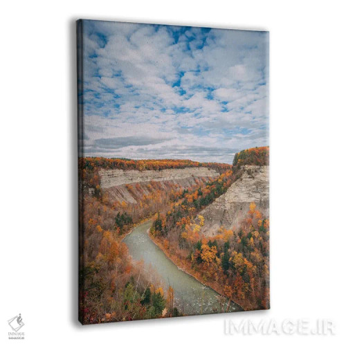 تابلو Letchworth,منظره دره، لتچورث اثر جان بیلوس - نمای پرسپکتیو محصول