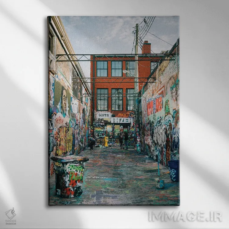 تابلو Baltimore,کوچه گرافیتی، بالتیمور اثر جان بیلوس - نمای روبهرو روی دیوار