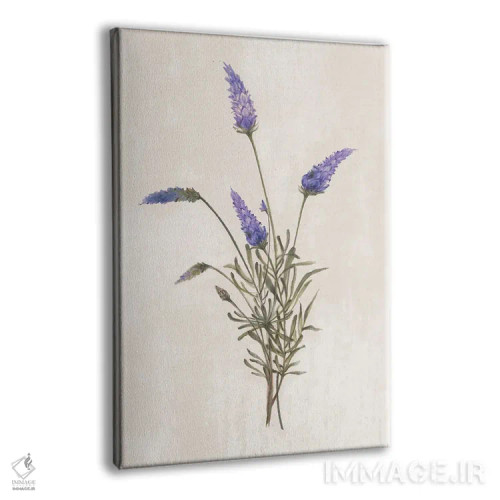 تابلو گیاهان وحشی I اثر الکس بلک - نمای پرسپکتیو محصول