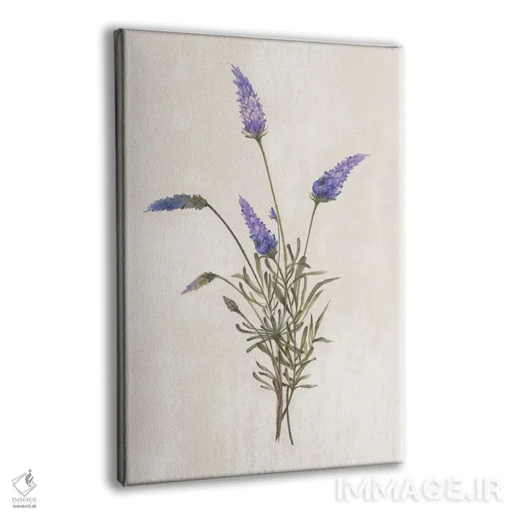 تابلو گیاهان وحشی I اثر الکس بلک - نمای پرسپکتیو محصول