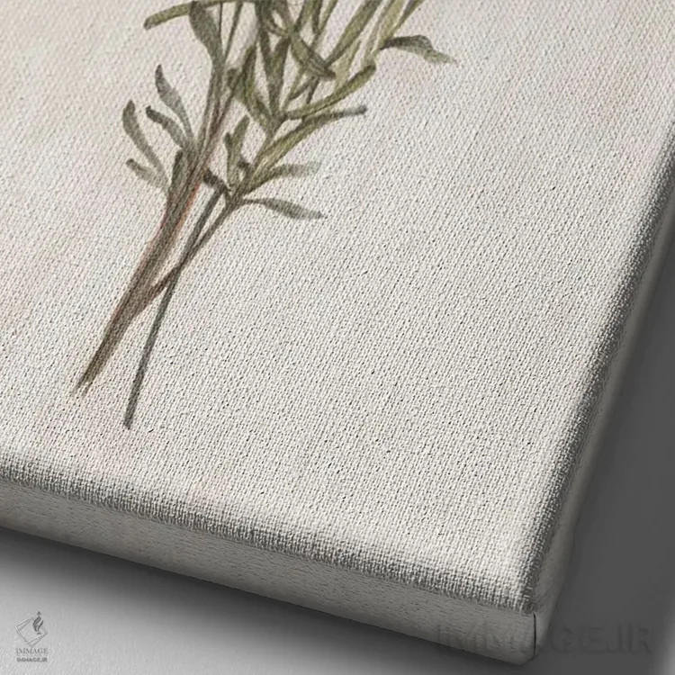 تابلو گیاهان وحشی I اثر الکس بلک - نمای نزدیک بافت بوم