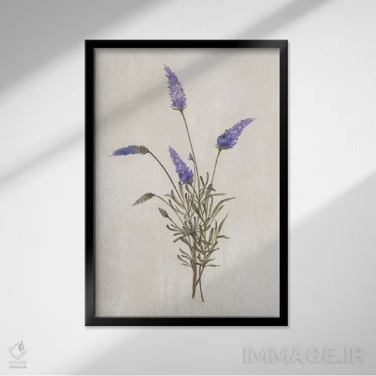 تابلو گیاهان وحشی I اثر الکس بلک - نمای قابدار مشکی