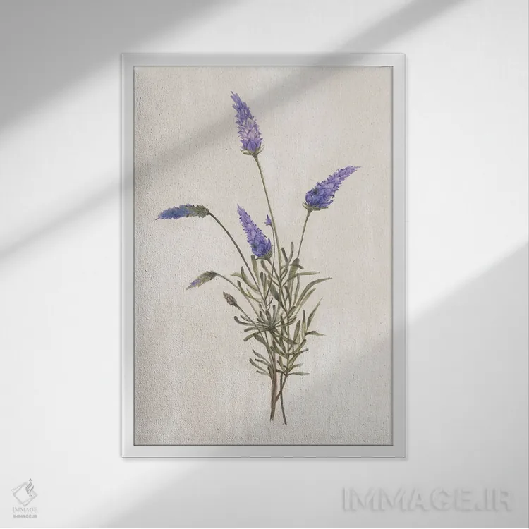 تابلو گیاهان وحشی I اثر الکس بلک - نمای قابدار سفید