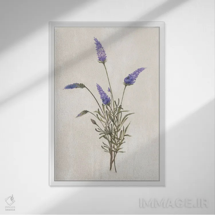 تابلو گیاهان وحشی I اثر الکس بلک - نمای قابدار سفید