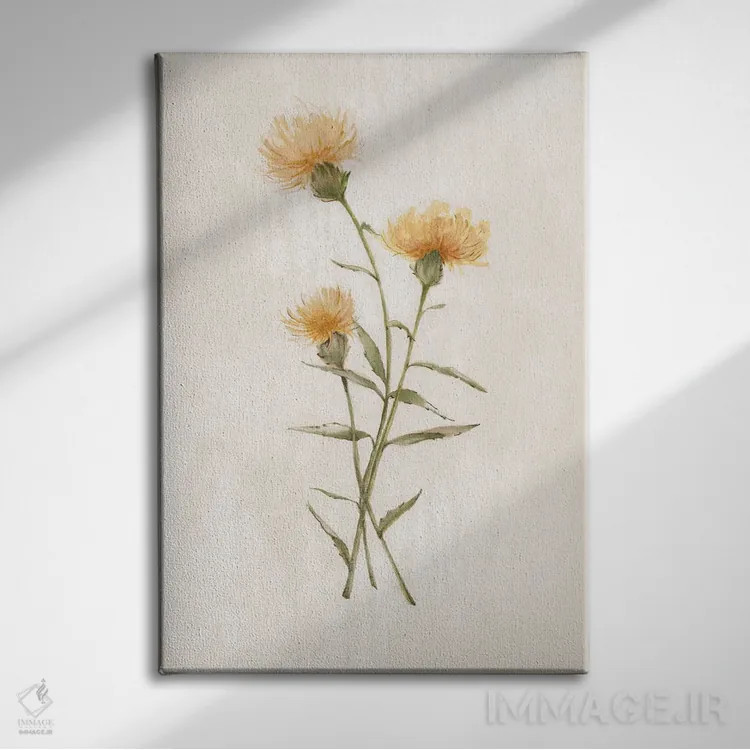 تابلو گیاهان وحشی III اثر الکس بلک - نمای روبهرو روی دیوار