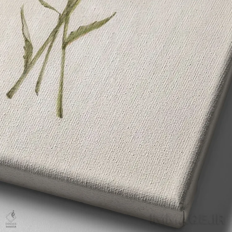 تابلو گیاهان وحشی III اثر الکس بلک - نمای نزدیک بافت بوم