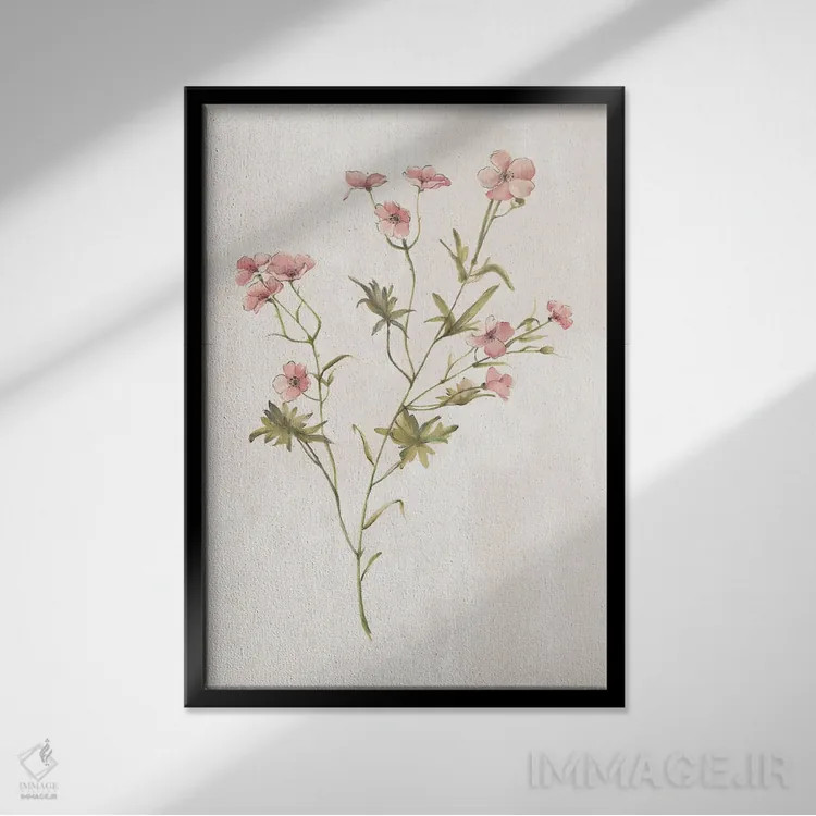 تابلو گیاهان وحشی II اثر الکس بلک - نمای قابدار مشکی