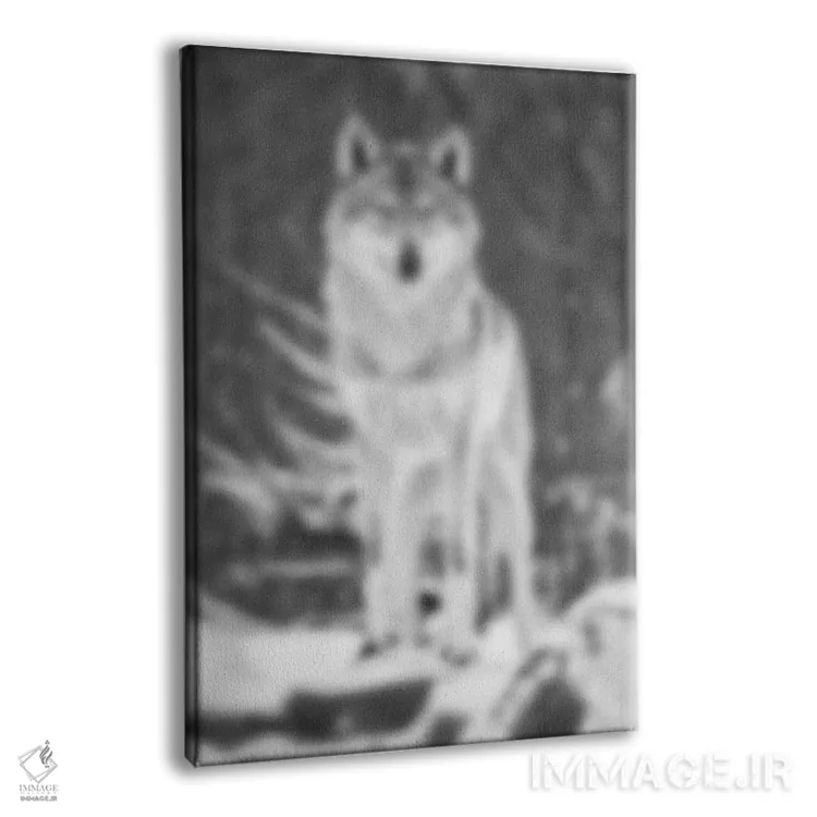 تابلو کویر محو اثر فایو بای فایو کالکتیو - نمای پرسپکتیو محصول