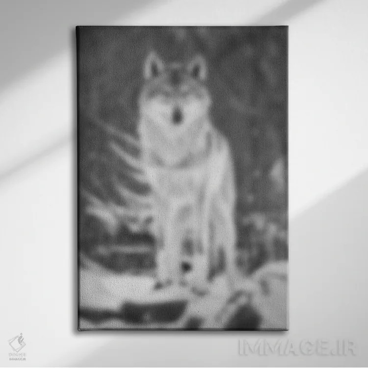 تابلو کویر محو اثر فایو بای فایو کالکتیو - نمای روبهرو روی دیوار