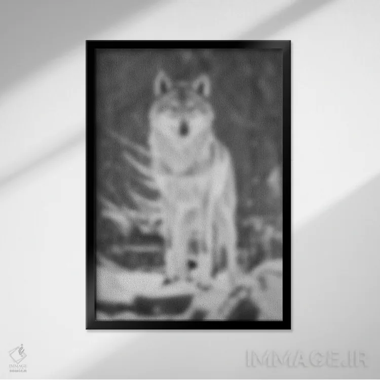 تابلو کویر محو اثر فایو بای فایو کالکتیو - نمای قابدار مشکی