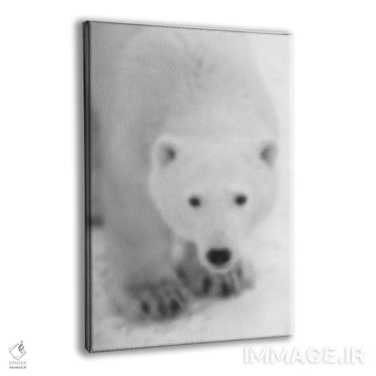 تابلو خرس محو (فرانسوی) اثر فایو بای فایو کالکتیو - نمای پرسپکتیو محصول