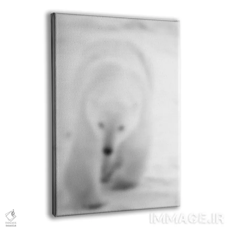 تابلو سفید محو (فرانسوی) اثر فایو بای فایو کالکتیو - نمای پرسپکتیو محصول