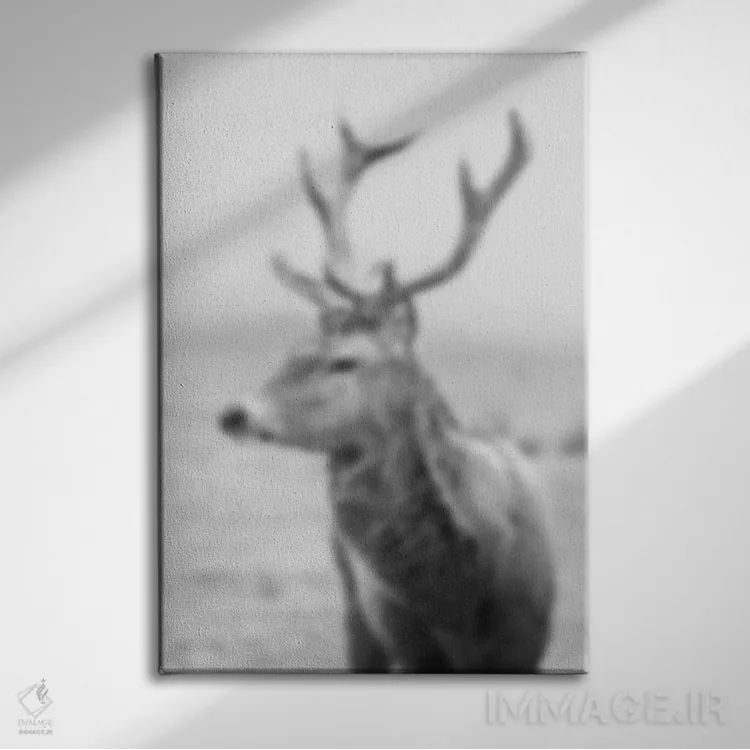 تابلو چوب محو (فرانسوی) اثر فایو بای فایو کالکتیو - نمای روبهرو روی دیوار