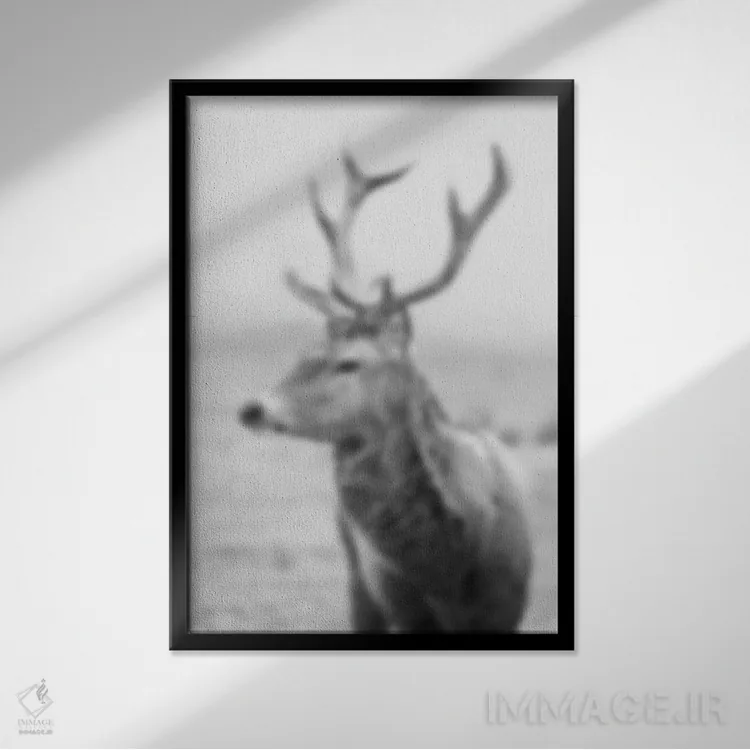 تابلو چوب محو (فرانسوی) اثر فایو بای فایو کالکتیو - نمای قابدار مشکی