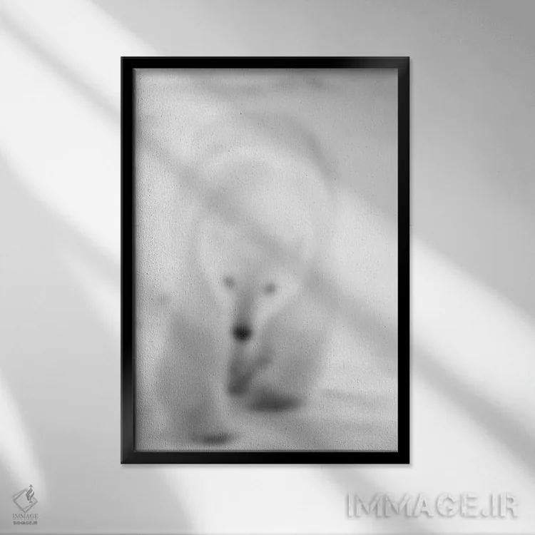 تابلو سفید محو (فرانسوی) اثر فایو بای فایو کالکتیو - نمای قابدار مشکی