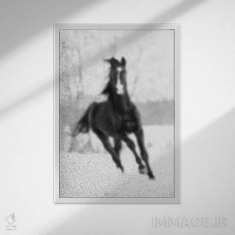 تابلو اسب محو (فرانسوی) اثر فایو بای فایو کالکتیو - نمای قابدار سفید