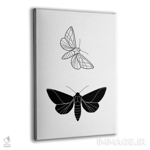 تابلو پروانهها (فرم مستطیل) اثر بلک پرینتس - نمای پرسپکتیو محصول