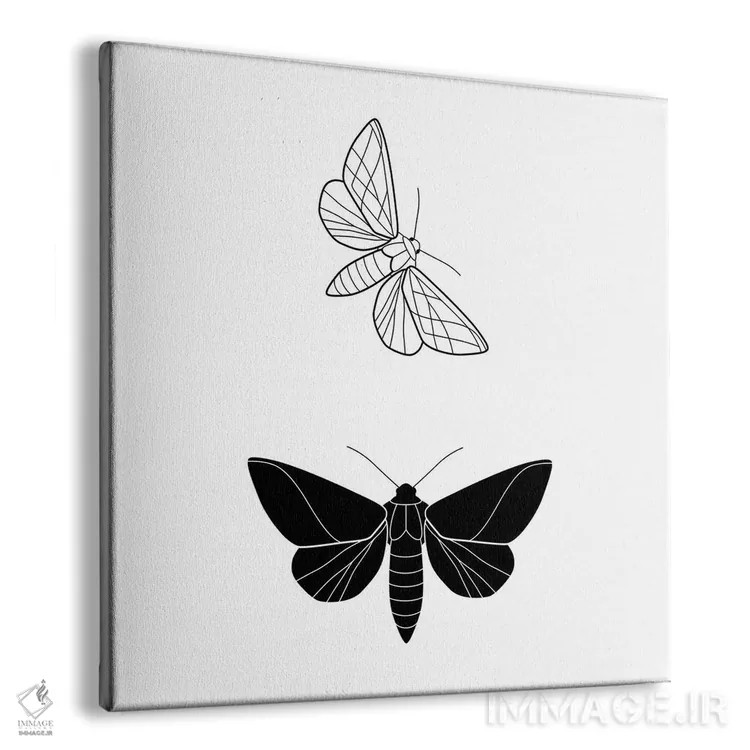 تابلو پروانهها (فرم مربع) اثر بلک پرینتس - نمای پرسپکتیو محصول