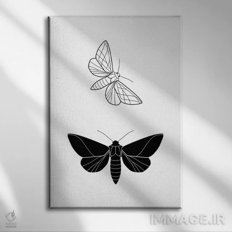 تابلو پروانهها (فرم مستطیل) اثر بلک پرینتس - نمای روبهرو روی دیوار