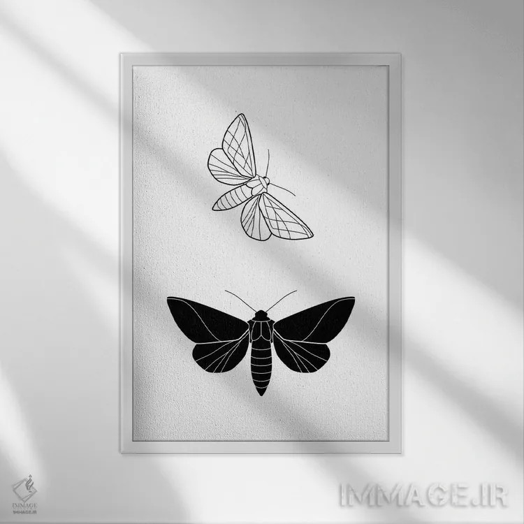 تابلو پروانهها (فرم مستطیل) اثر بلک پرینتس - نمای قابدار سفید